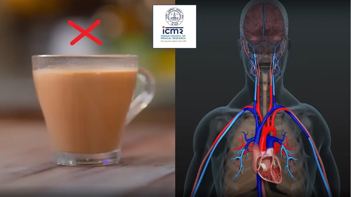 ICMR Guidelines About Team-Coffee